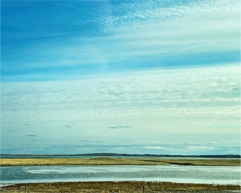Main image Open Water, Open Sky