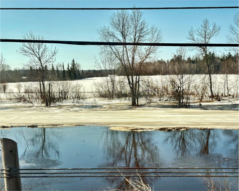 Main image Lines of Thaw
