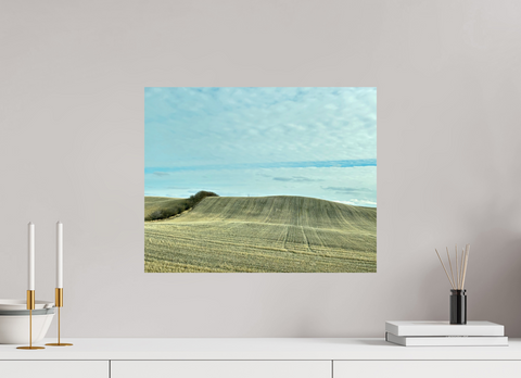 20 x 16″, Hahnemühle Fine Art Print Punk