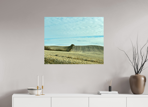 35 x 28″, Hahnemühle Fine Art Print Punk II