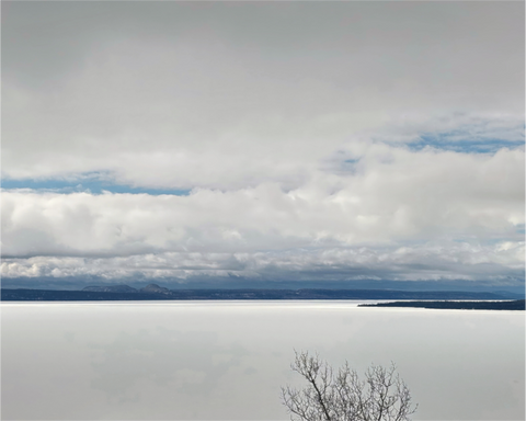 Main image Branch in White Silence