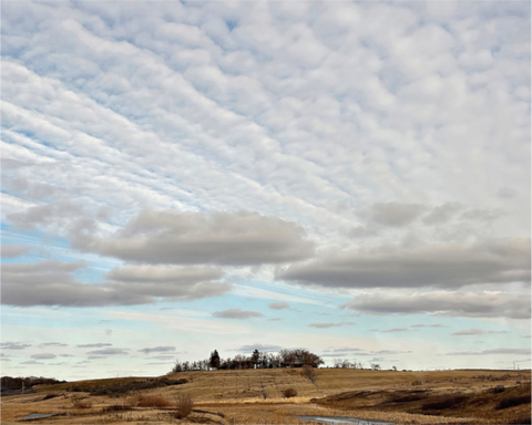 Main image Under the Vast Clouds