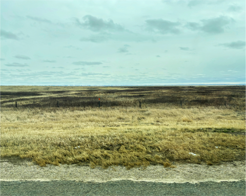 Main image Ocean of Grass