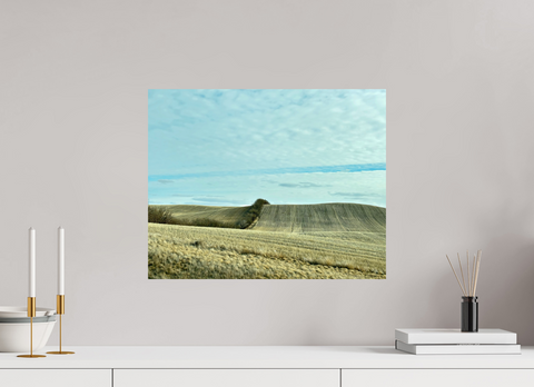 20 x 16″, Hahnemühle Fine Art Print Punk II