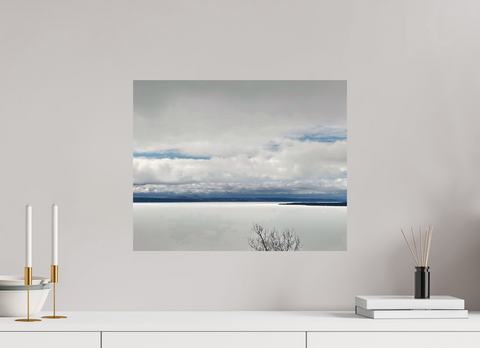 20 x 16″, Hahnemühle Fine Art Print Branch in White Silence