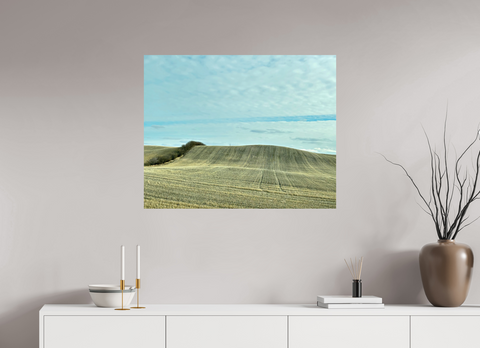 35 x 28″, Hahnemühle Fine Art Print Punk