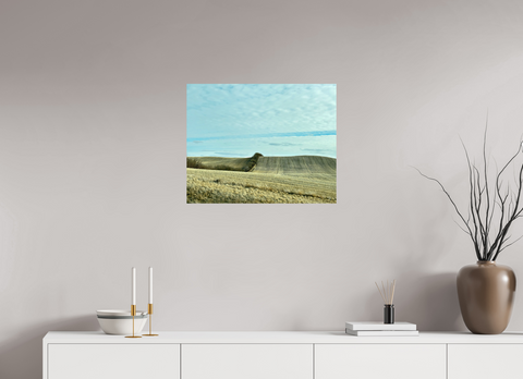 25 x 20″, Hahnemühle Fine Art Print Punk II