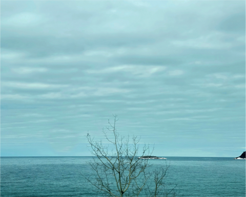 Main image Blue