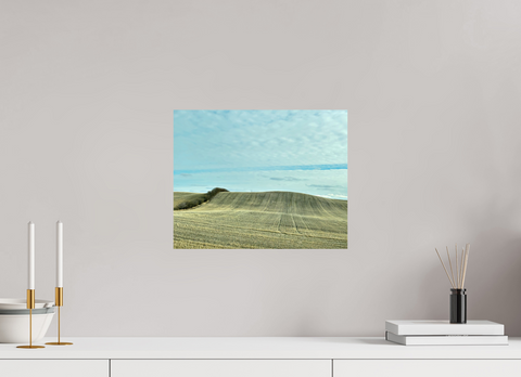 15 x 12″, Hahnemühle Fine Art Print Punk