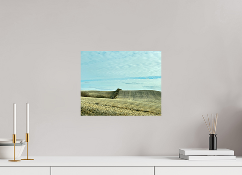 15 x 12″, Hahnemühle Fine Art Print Punk II